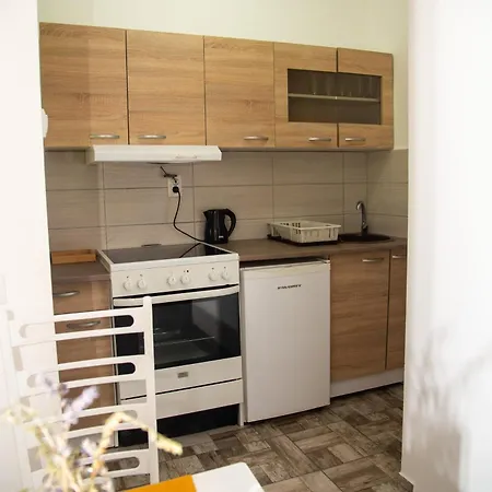 Apartment Maslacak *