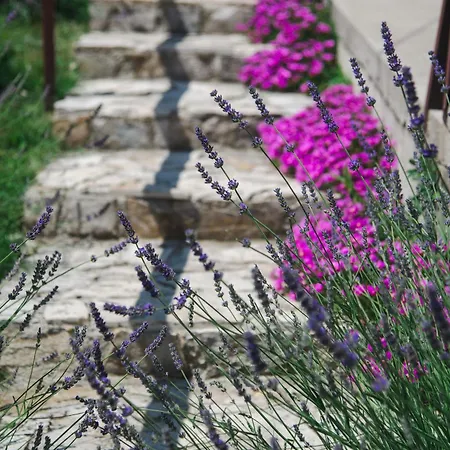 Maslacak Appartement *